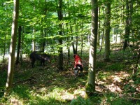 Debora im Saugatter